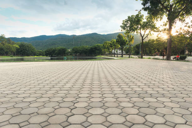 Best Decorative Driveway Pavers  in Janesville, CA