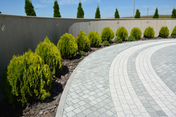 Best Residential Paver Driveway  in Janesville, CA