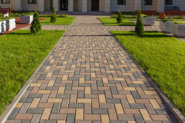 Best Best Driveway Pavers  in Janesville, CA